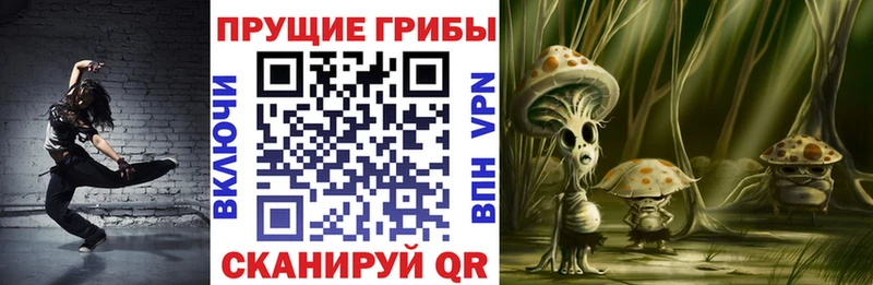 OMG маркетплейс  Стрежевой  Псилоцибиновые грибы прущие грибы 