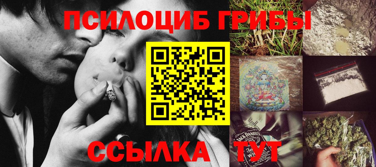 Псилоцибиновые грибы MAGIC MUSHROOMS  где купить наркоту  Стрежевой  Вход с VPN  Псилоцибиновые грибы Cubensis 