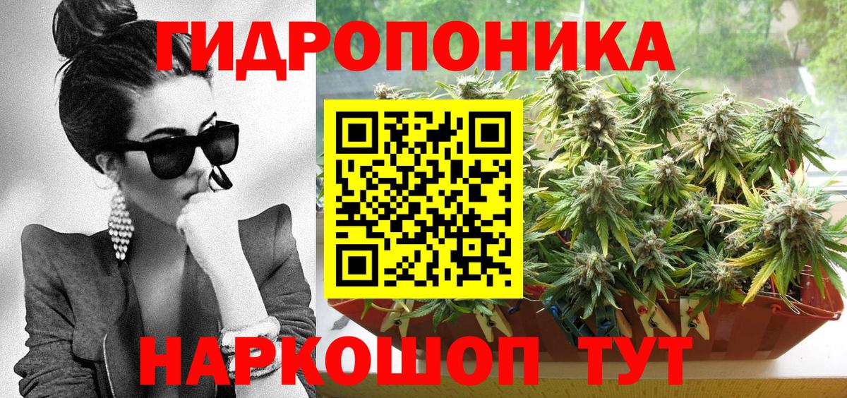 Каннабис Bruce Banner  Вход с VPN  Стрежевой  Марихуана семена  Конопля MAZAR 